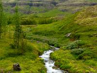 Seitenbach der Fjarðará mit grüner Wiese - Ostfjorde
